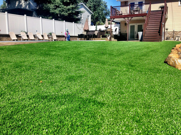 Back Yard Landscape Turf Grass